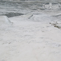 фото из отзыва ID 1366105