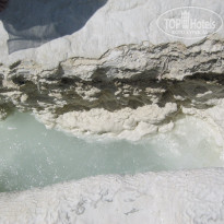 фото из отзыва ID 1366105