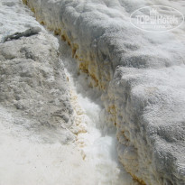 фото из отзыва ID 1366105