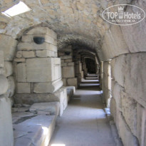 фото из отзыва ID 1366105