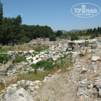 фото из отзыва ID 1366105