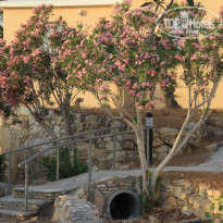 фото из отзыва ID 1364528