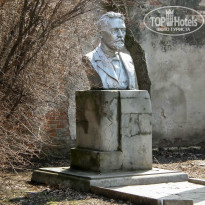 фото из отзыва ID 1365050