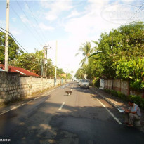 фото из отзыва ID 137855