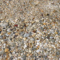 фото из отзыва ID 1370068