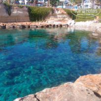 фото из отзыва ID 1370144