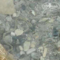 фото из отзыва ID 1370436