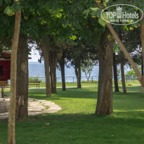 фото из отзыва ID 1370550