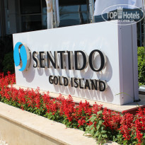 фото из отзыва ID 1370664