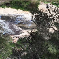 фото из отзыва ID 1370744