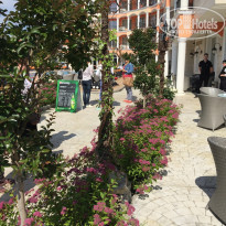 фото из отзыва ID 1370784