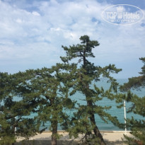 фото из отзыва ID 1370821