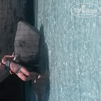 фото из отзыва ID 1370925