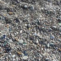 фото из отзыва ID 1371019