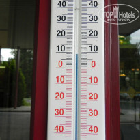 фото из отзыва ID 1371113