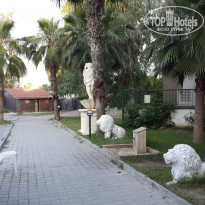 фото из отзыва ID 1371096