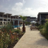 фото из отзыва ID 1370172