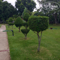 фото из отзыва ID 1371194