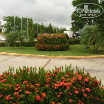 фото из отзыва ID 1371194