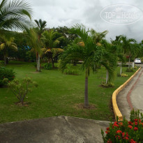 фото из отзыва ID 1371194