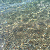 фото из отзыва ID 1371131