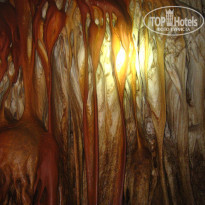 фото из отзыва ID 1371323