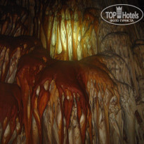 фото из отзыва ID 1371323