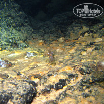 фото из отзыва ID 1371323