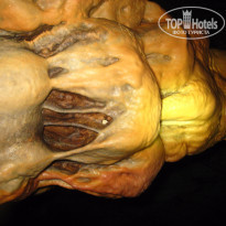 фото из отзыва ID 1371323