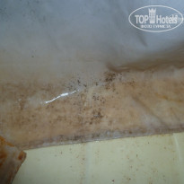 фото из отзыва ID 1371401