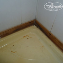 фото из отзыва ID 1371401