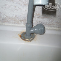 фото из отзыва ID 1371401