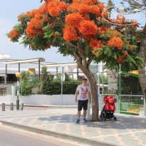 фото из отзыва ID 1371448