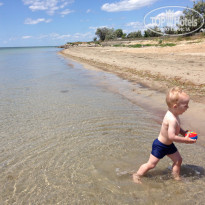 фото из отзыва ID 1371565