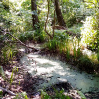 фото из отзыва ID 1371619