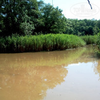 фото из отзыва ID 1371619