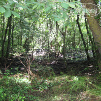 фото из отзыва ID 1371619