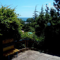 фото из отзыва ID 1371619