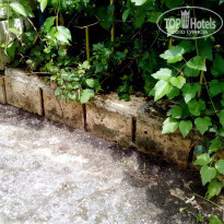 фото из отзыва ID 1371619