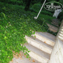 фото из отзыва ID 1371619