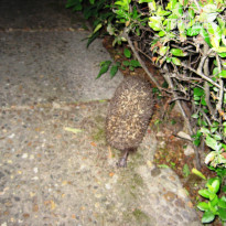 фото из отзыва ID 1371619