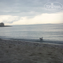 фото из отзыва ID 1371894