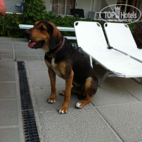 фото из отзыва ID 1371911