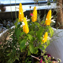 фото из отзыва ID 1371911