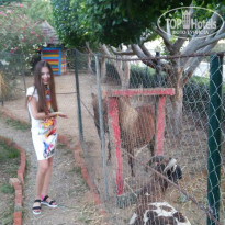 фото из отзыва ID 1371924