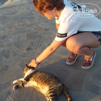 фото из отзыва ID 1372022