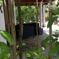 фото из отзыва ID 1372097