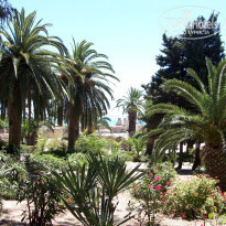 фото из отзыва ID 1372130