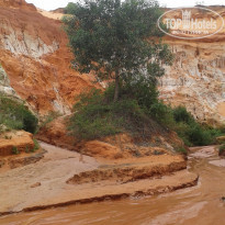 фото из отзыва ID 1372174