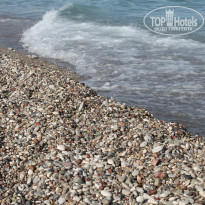 фото из отзыва ID 1372198